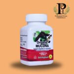 Organic Mucuna Capsules